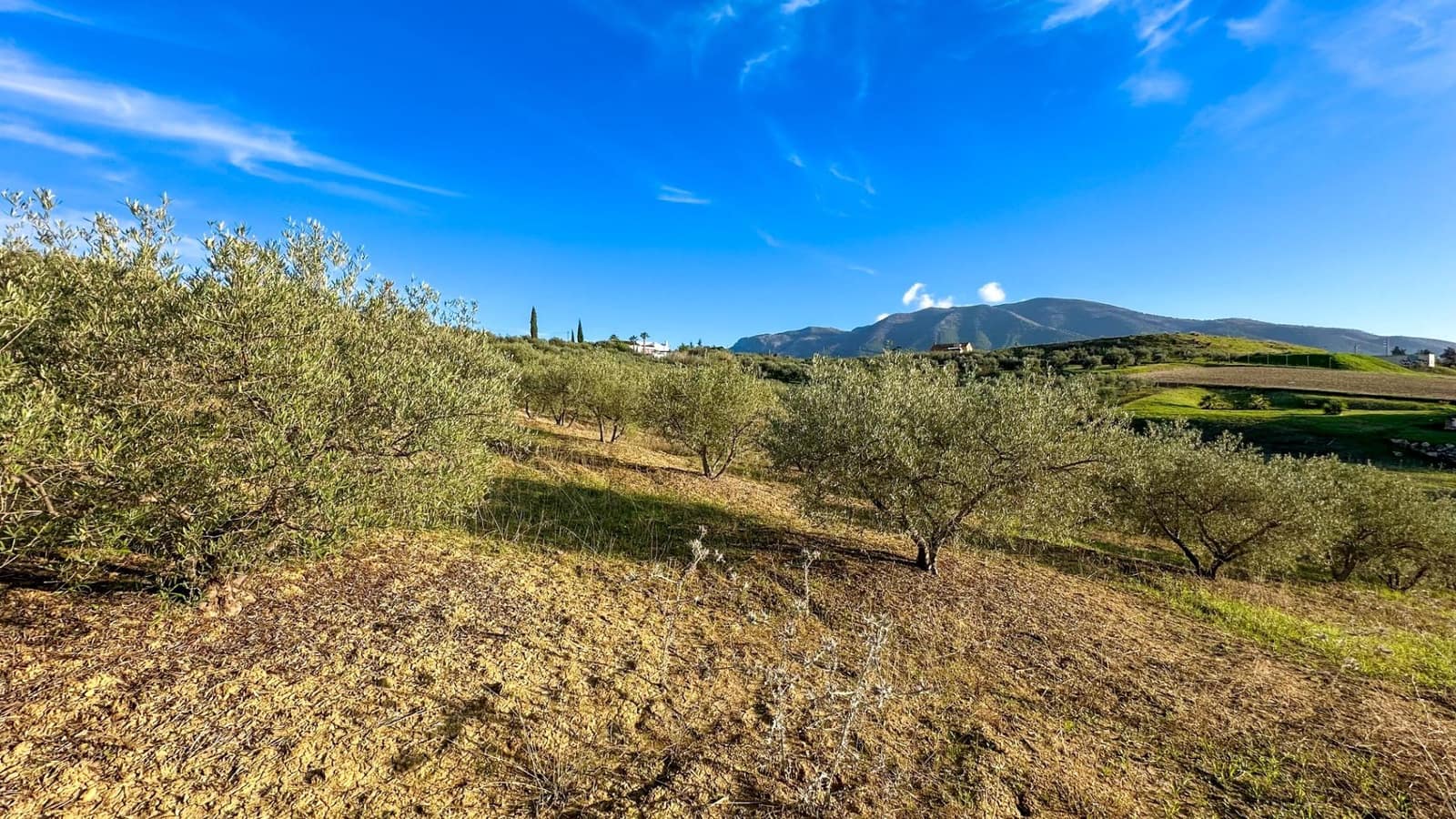 Building Plot for sale in Alhaurin el Grande - € 230,000 (Ref: 9338971)