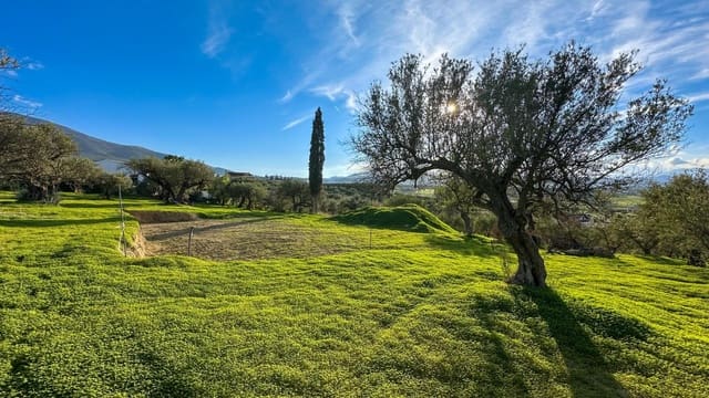 Tomt till salu i Alhaurín el Grande - 230 000 € (Ref: 9338971)