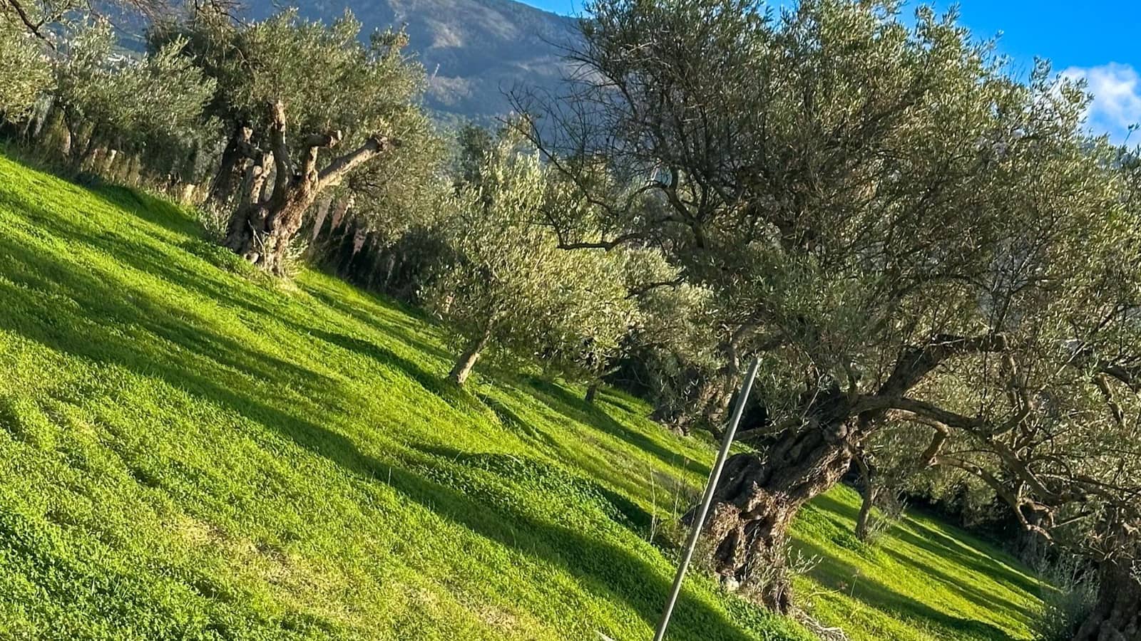 Building Plot for sale in Alhaurin el Grande - € 230,000 (Ref: 9338971)