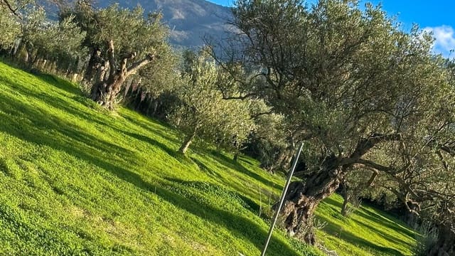 Tomt till salu i Alhaurín el Grande - 230 000 € (Ref: 9338971)