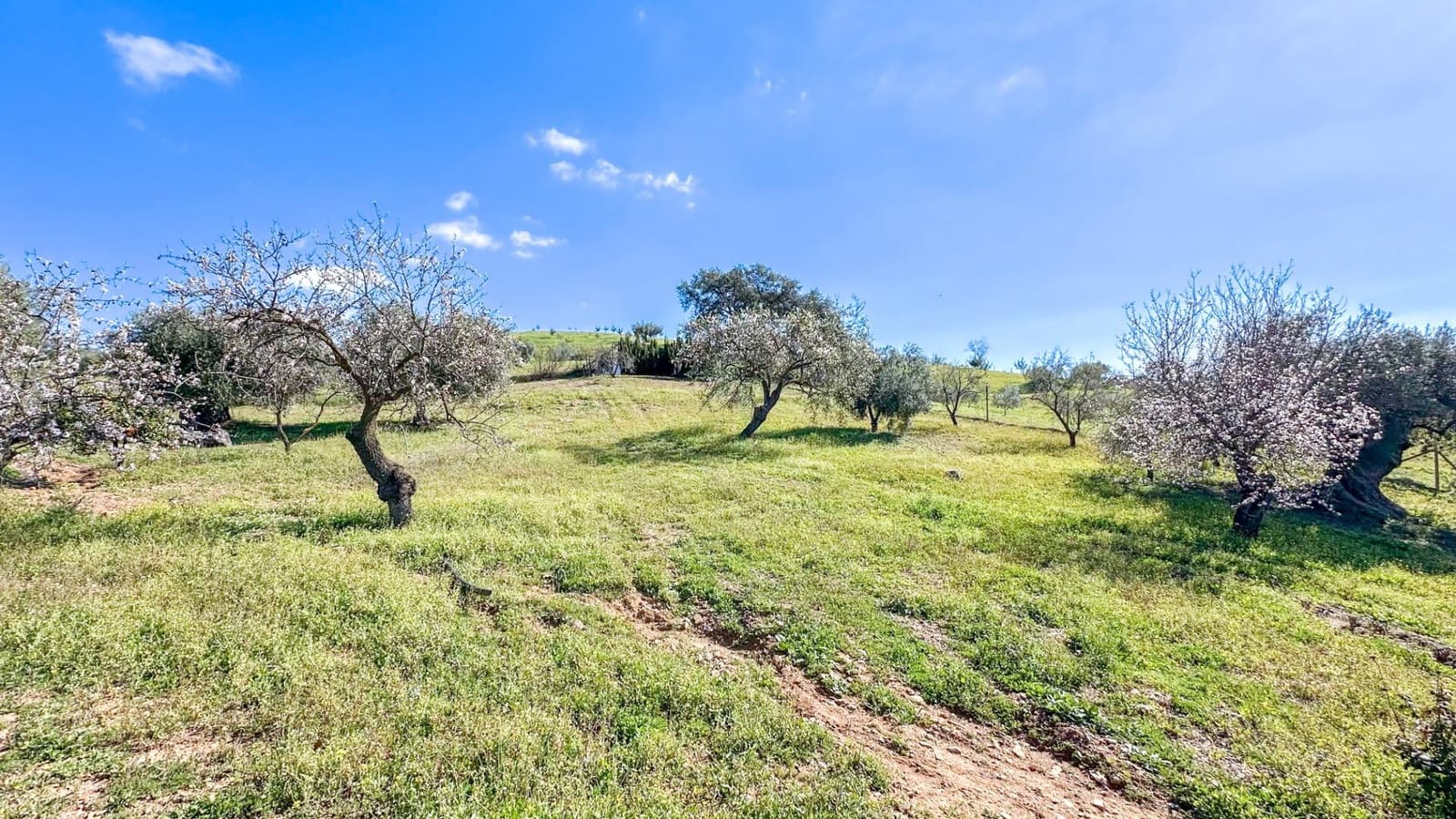 4 soverom Villa til salgs i Almogia med svømmebasseng - € 599 000 (Ref: 9338980)