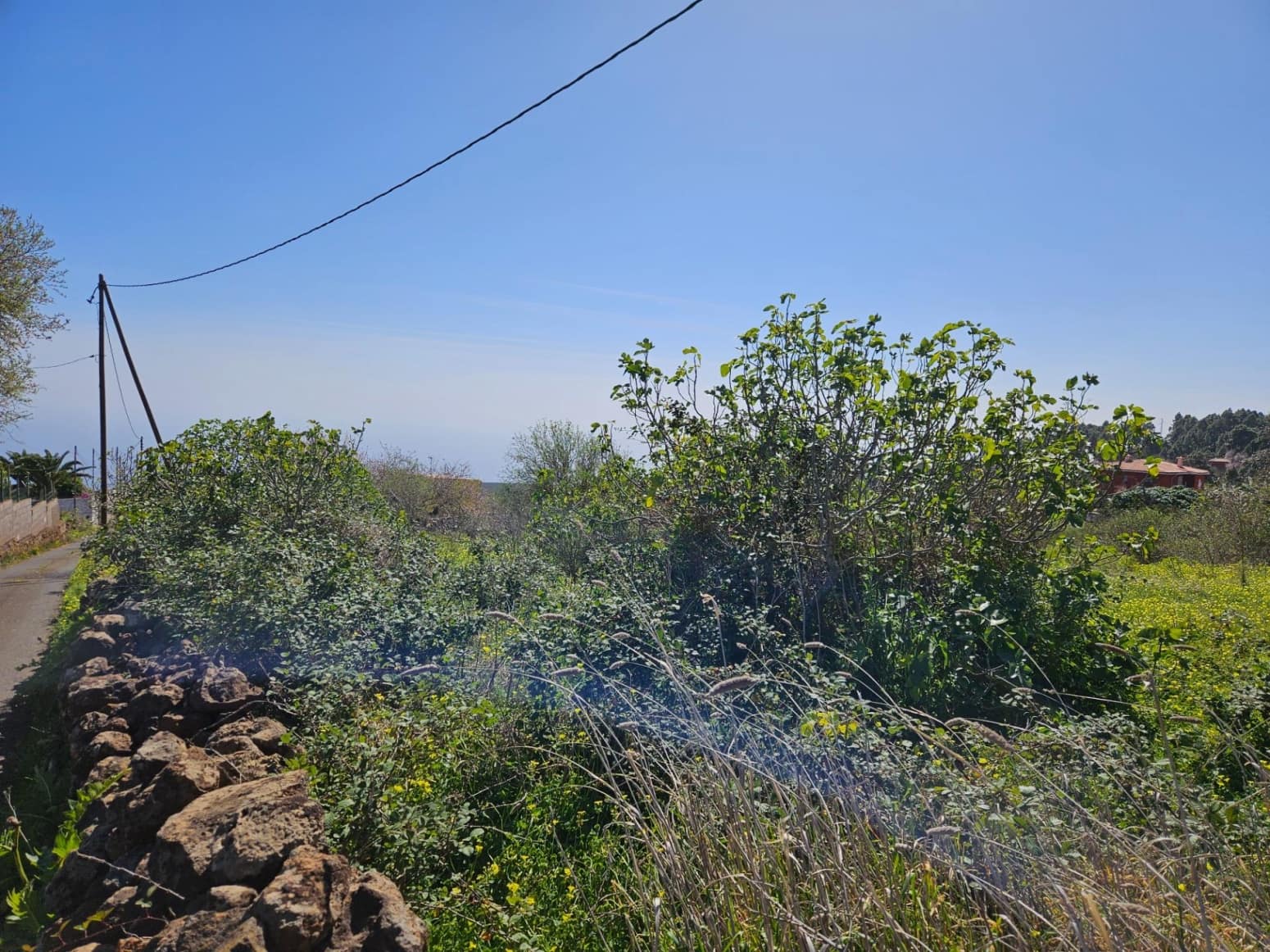 Bauplatz zu verkaufen in El Rosario - 45.000 € (Ref: 8637232)