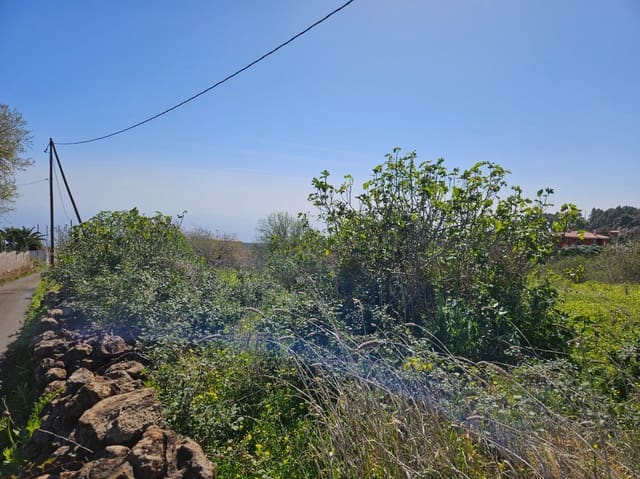 Bauplatz zu verkaufen in El Rosario - 45.000 € (Ref: 8637232)