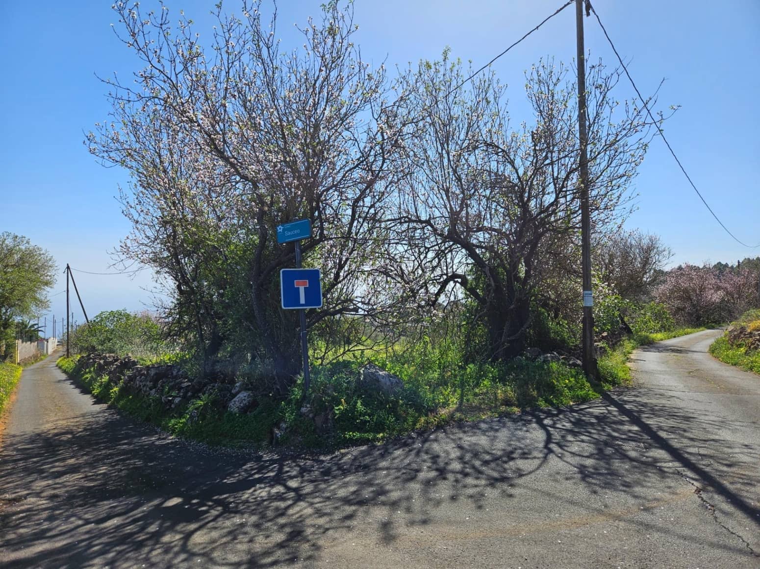 Bauplatz zu verkaufen in El Rosario - 45.000 € (Ref: 8637232)