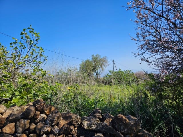 Bauplatz zu verkaufen in El Rosario - 45.000 € (Ref: 8637232)