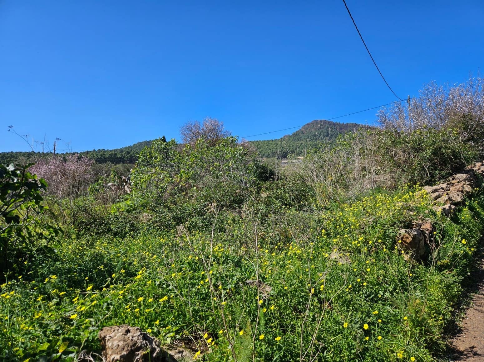 Bauplatz zu verkaufen in El Rosario - 45.000 € (Ref: 8637232)