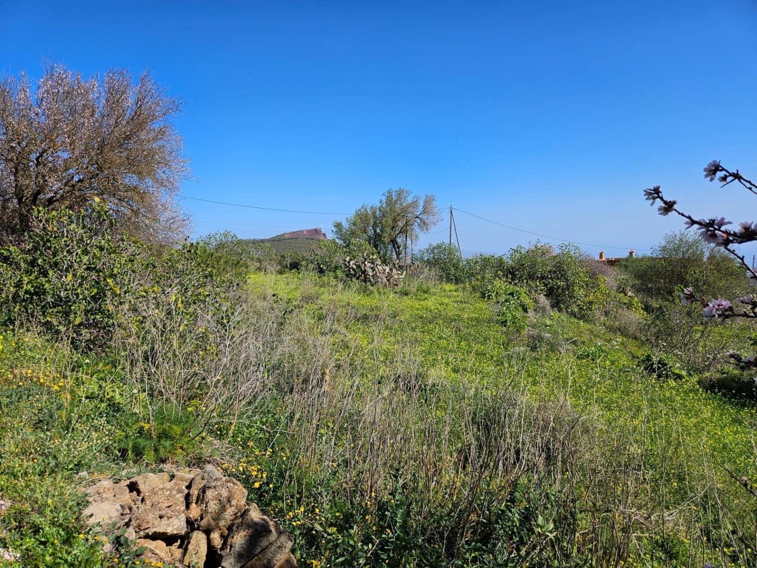 Bauplatz zu verkaufen in El Rosario - 45.000 € (Ref: 8637232)