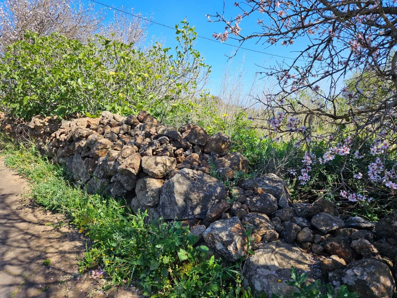 Bauplatz zu verkaufen in El Rosario - 45.000 € (Ref: 8637232)