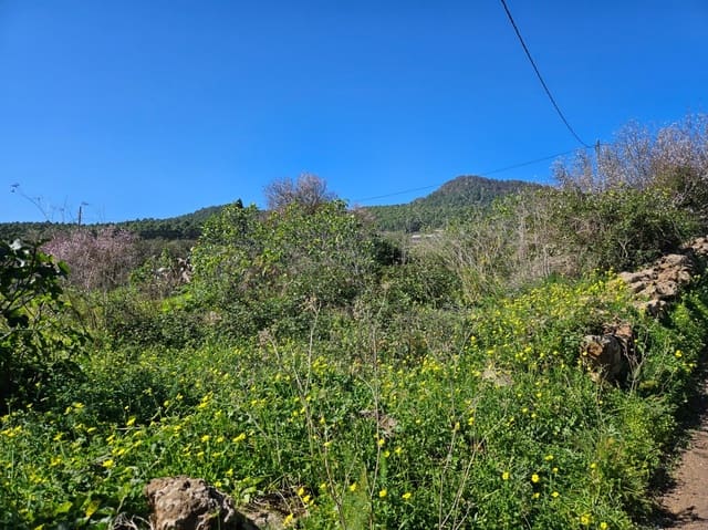 Bauplatz zu verkaufen in El Rosario - 45.000 € (Ref: 8637232)