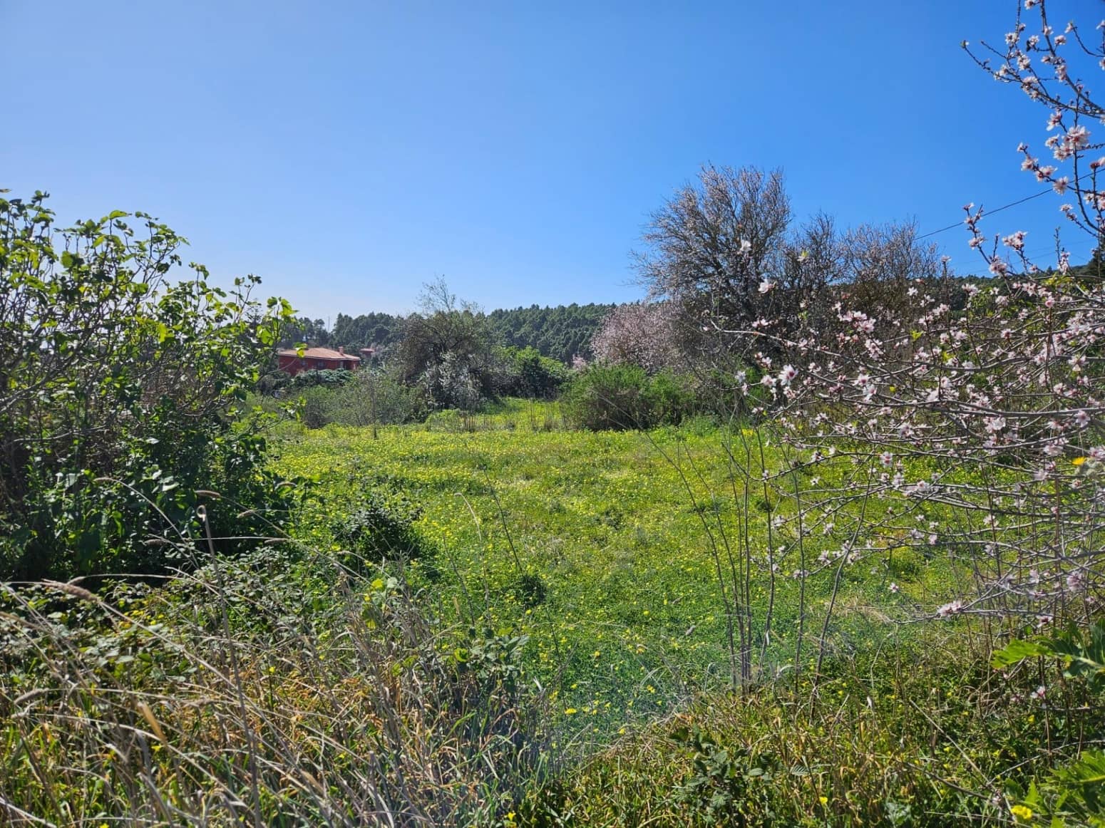 Bauplatz zu verkaufen in El Rosario - 45.000 € (Ref: 8637232)