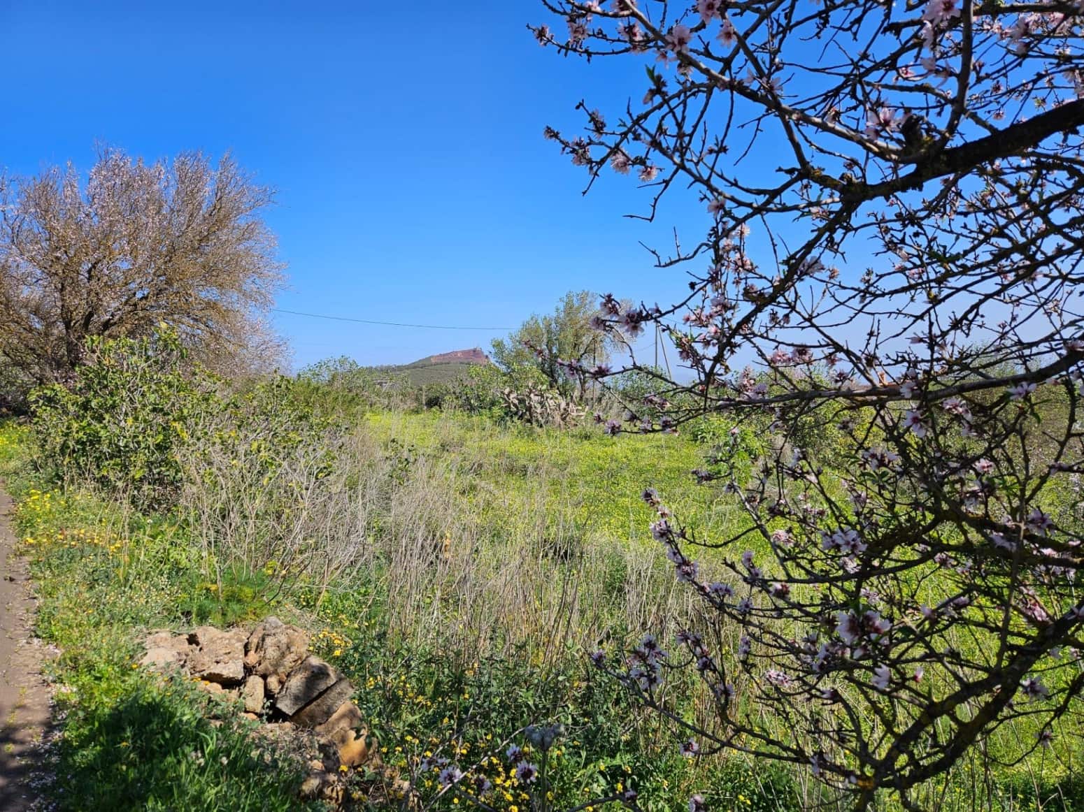 Bauplatz zu verkaufen in El Rosario - 45.000 € (Ref: 8637232)