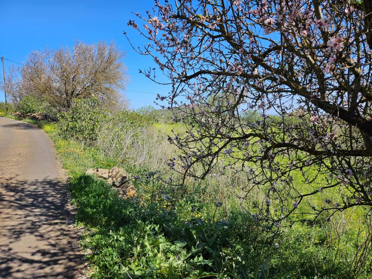 Bauplatz zu verkaufen in El Rosario - 45.000 € (Ref: 8637232)