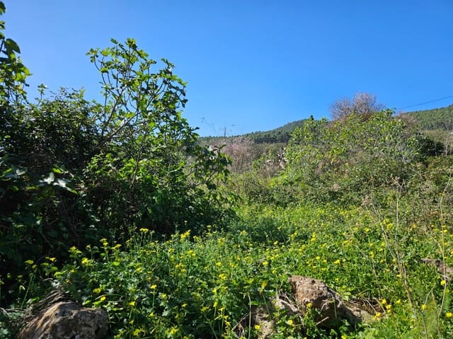 Bauplatz zu verkaufen in El Rosario - 45.000 € (Ref: 8637232)