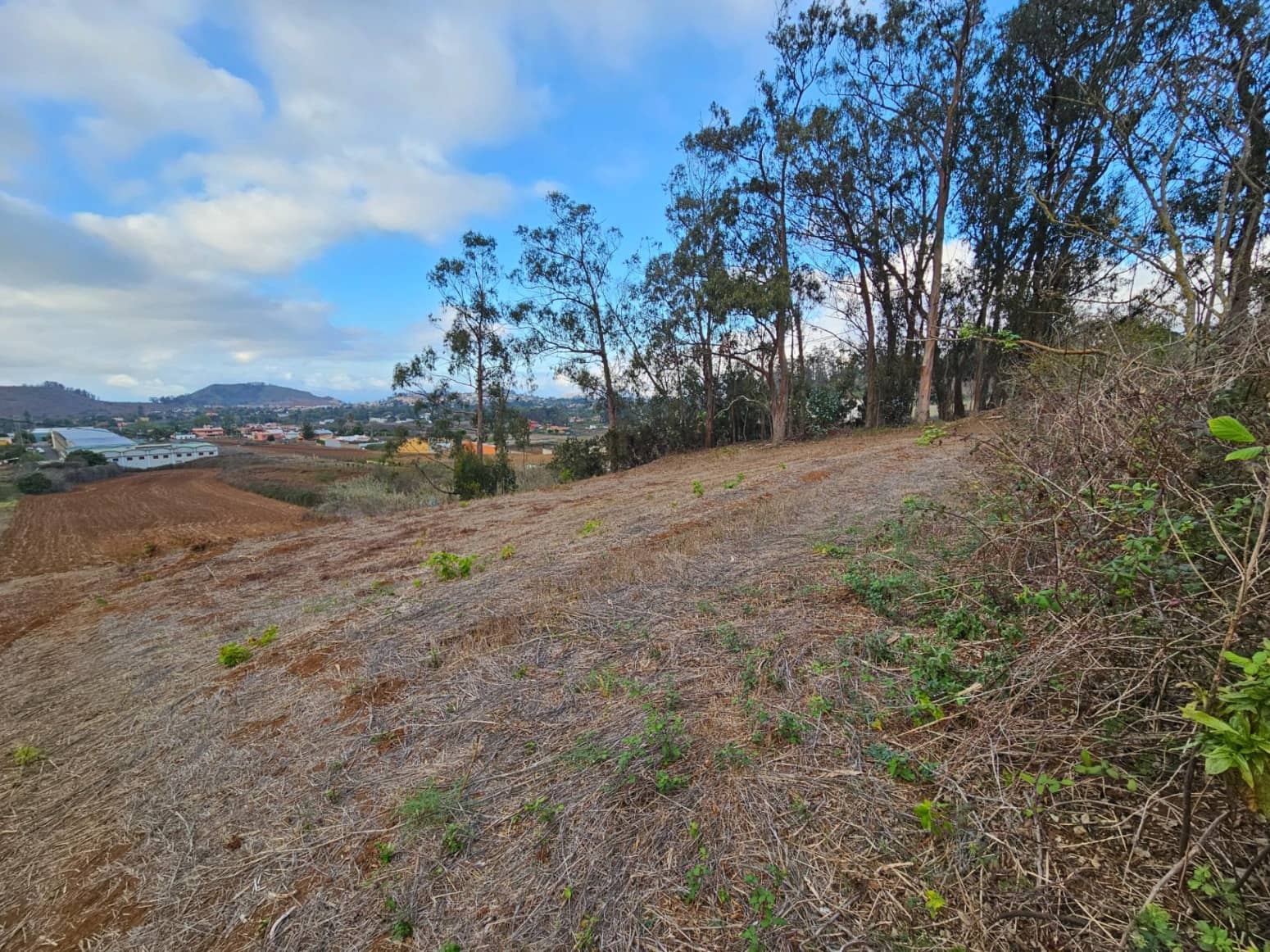 Byggetomt til salgs i Tacoronte - € 130 000 (Ref: 8637234)