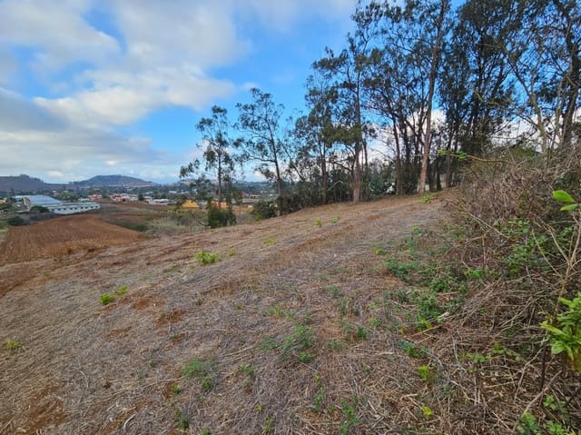 Tomt till salu i Tacoronte - 130 000 € (Ref: 8637234)