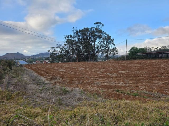 Tomt till salu i Tacoronte - 130 000 € (Ref: 8637234)