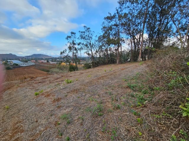 Tomt till salu i Tacoronte - 130 000 € (Ref: 8637234)