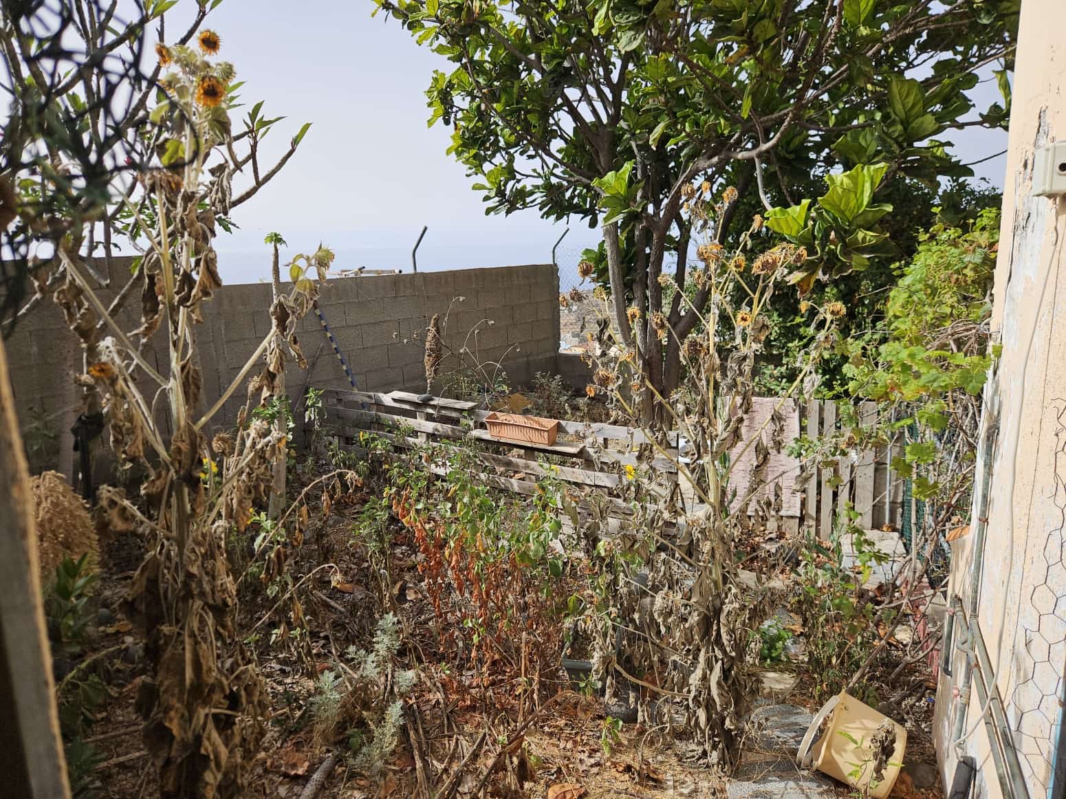 5 soverom Villa til salgs i Guimar - € 195 650 (Ref: 8637242)