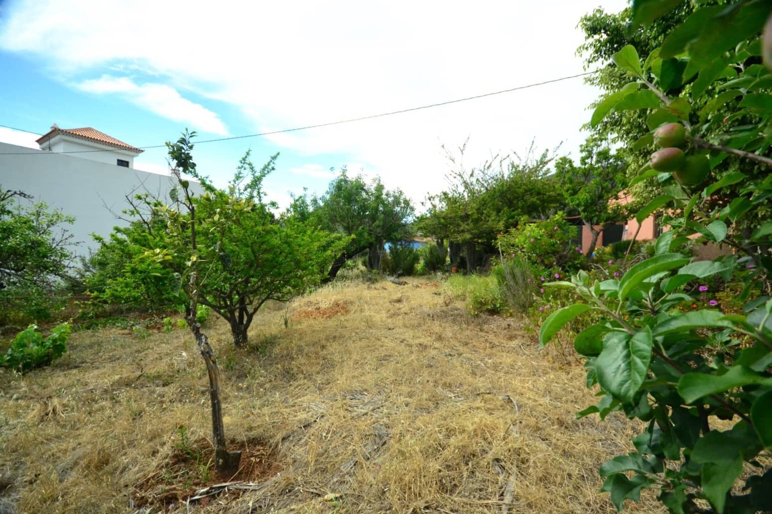 4 soveværelse Villa til salg i Tegueste - € 580.000 (Ref: 8637245)