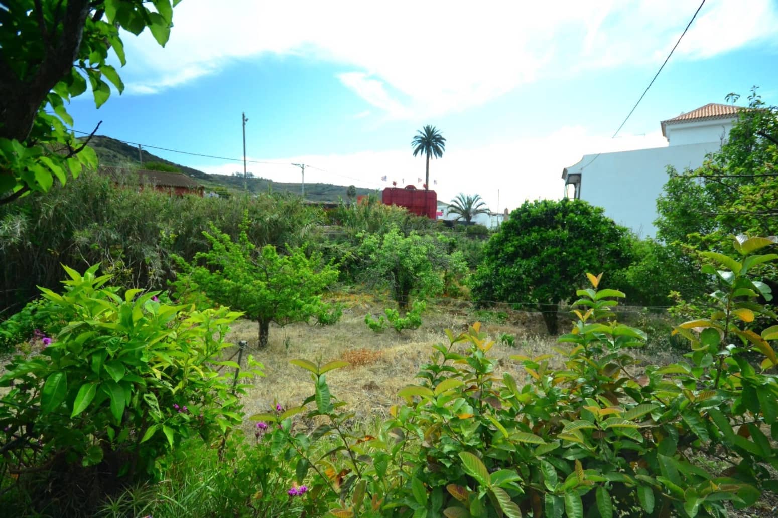 4 soveværelse Villa til salg i Tegueste - € 580.000 (Ref: 8637245)