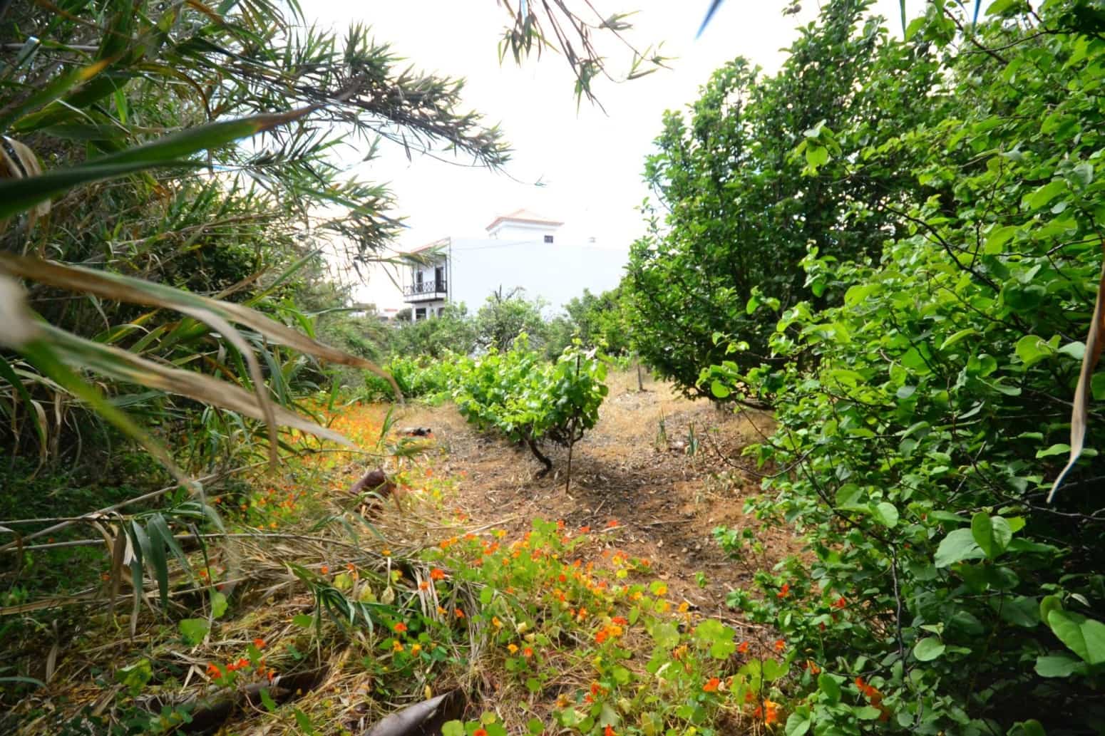 4 soveværelse Villa til salg i Tegueste - € 580.000 (Ref: 8637245)