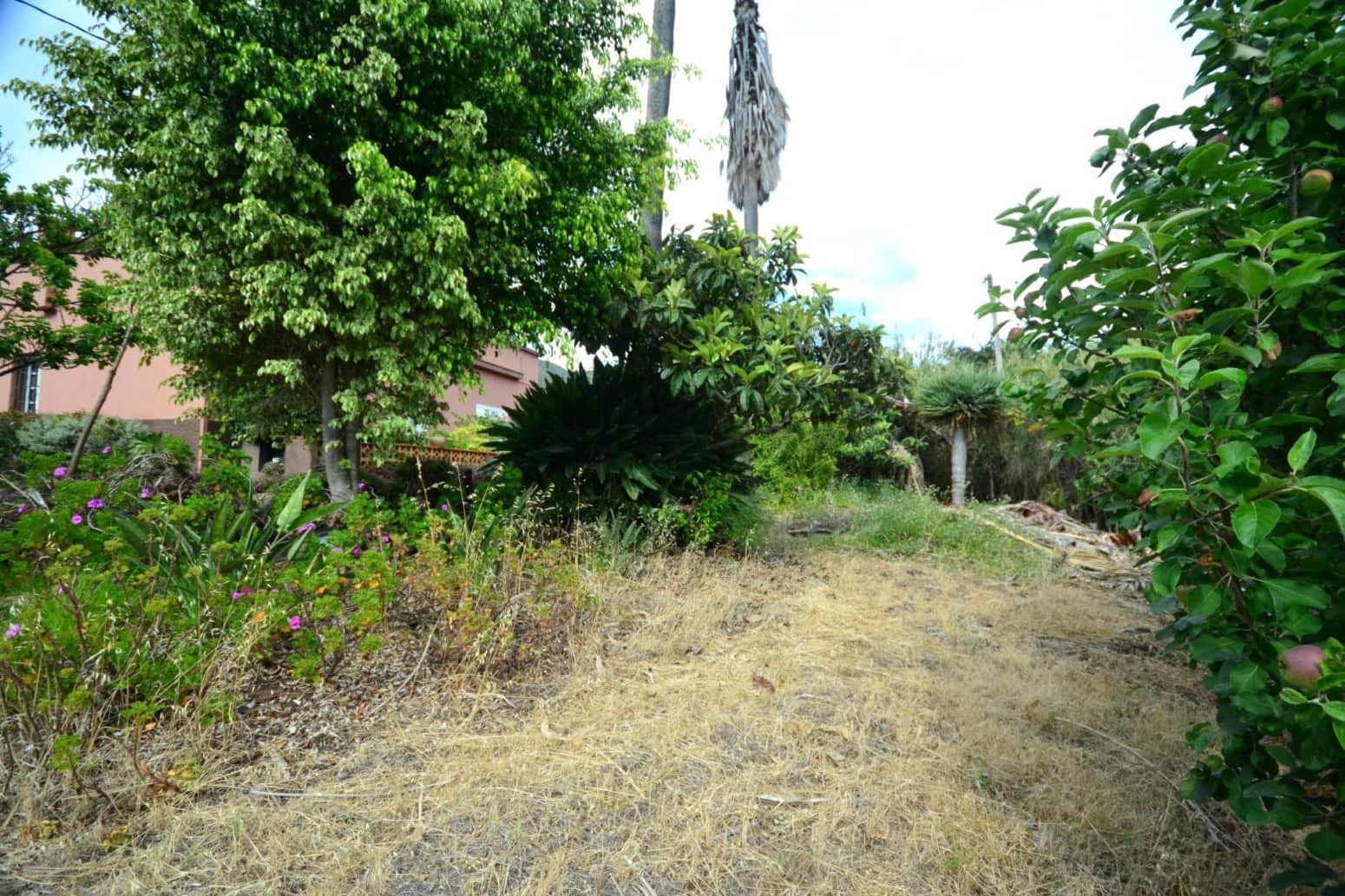 4 soveværelse Villa til salg i Tegueste - € 580.000 (Ref: 8637245)