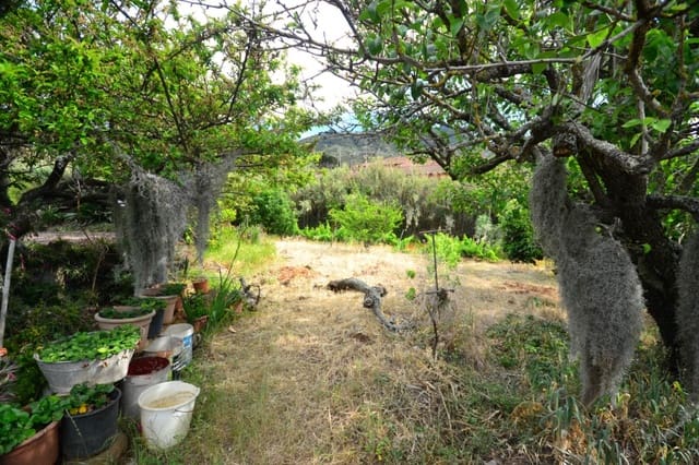 4 soverom Villa til salgs i Tegueste - € 580 000 (Ref: 8637245)