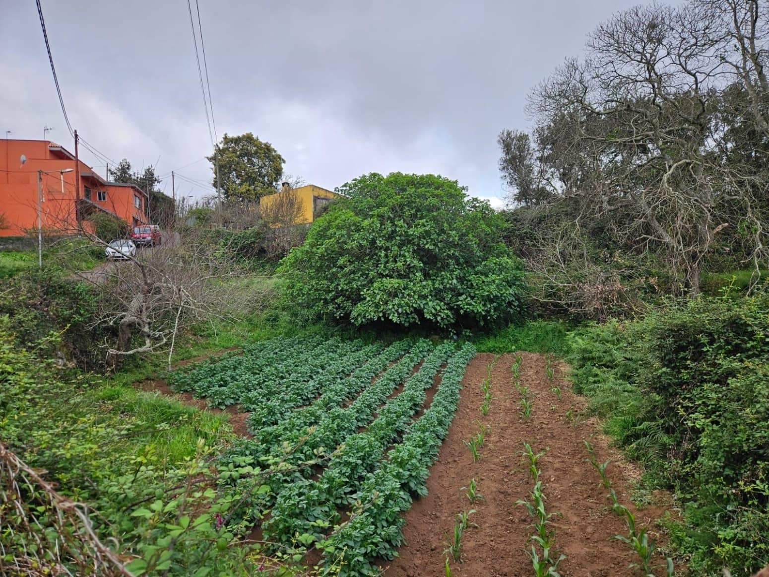 Building Plot for sale in El Sauzal - € 18,000 (Ref: 8637246)