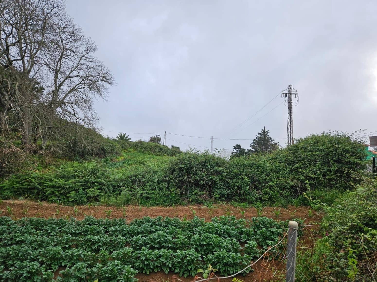 Building Plot for sale in El Sauzal - € 18,000 (Ref: 8637246)