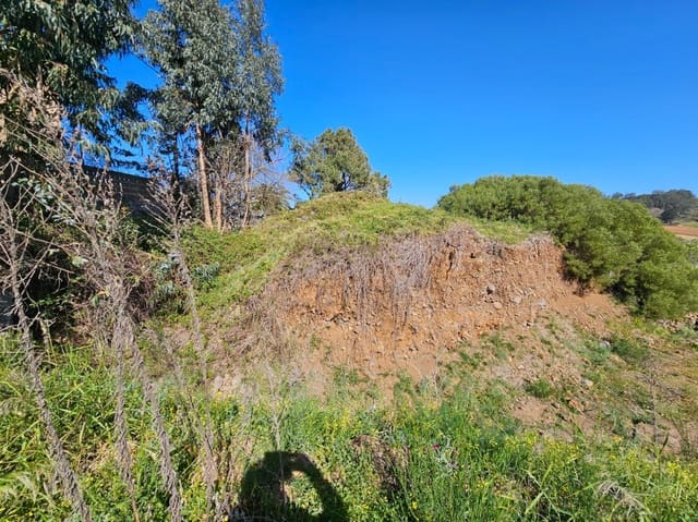 Building Plot for sale in El Rosario - € 245,000 (Ref: 8637249)