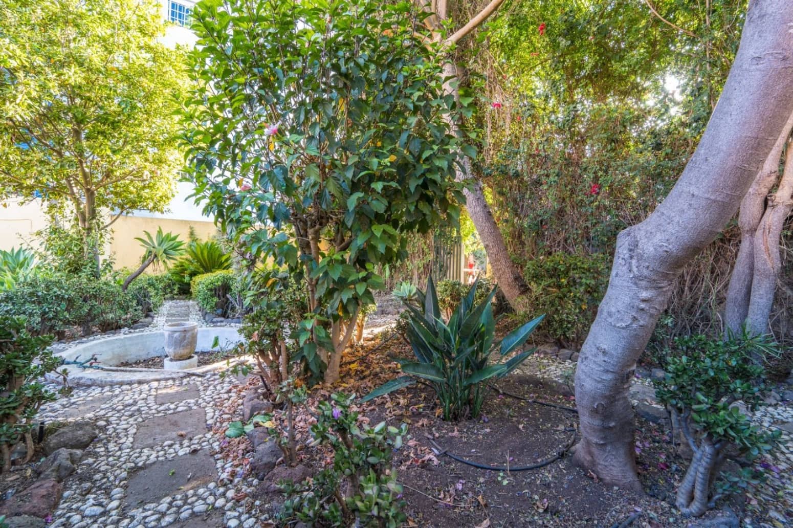 6 bedroom Villa for sale in San Cristobal de La Laguna with garage - € 1,450,000 (Ref: 8637254)