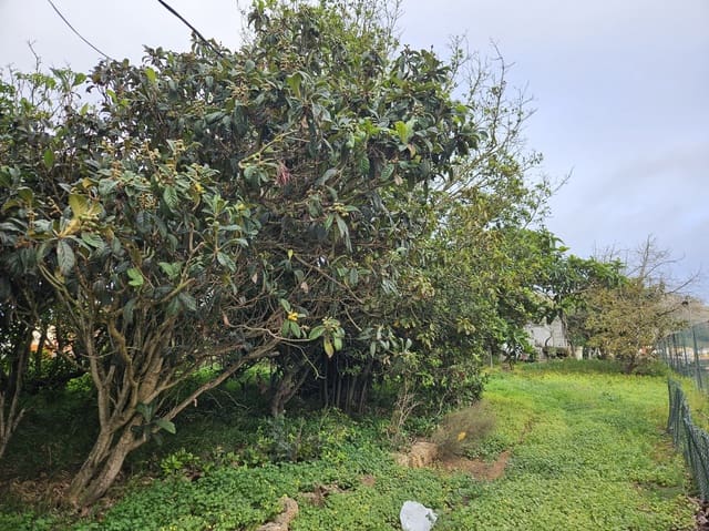 Bouwgrond te koop in San Cristóbal de La Laguna - € 525.000 (Ref: 8805747)