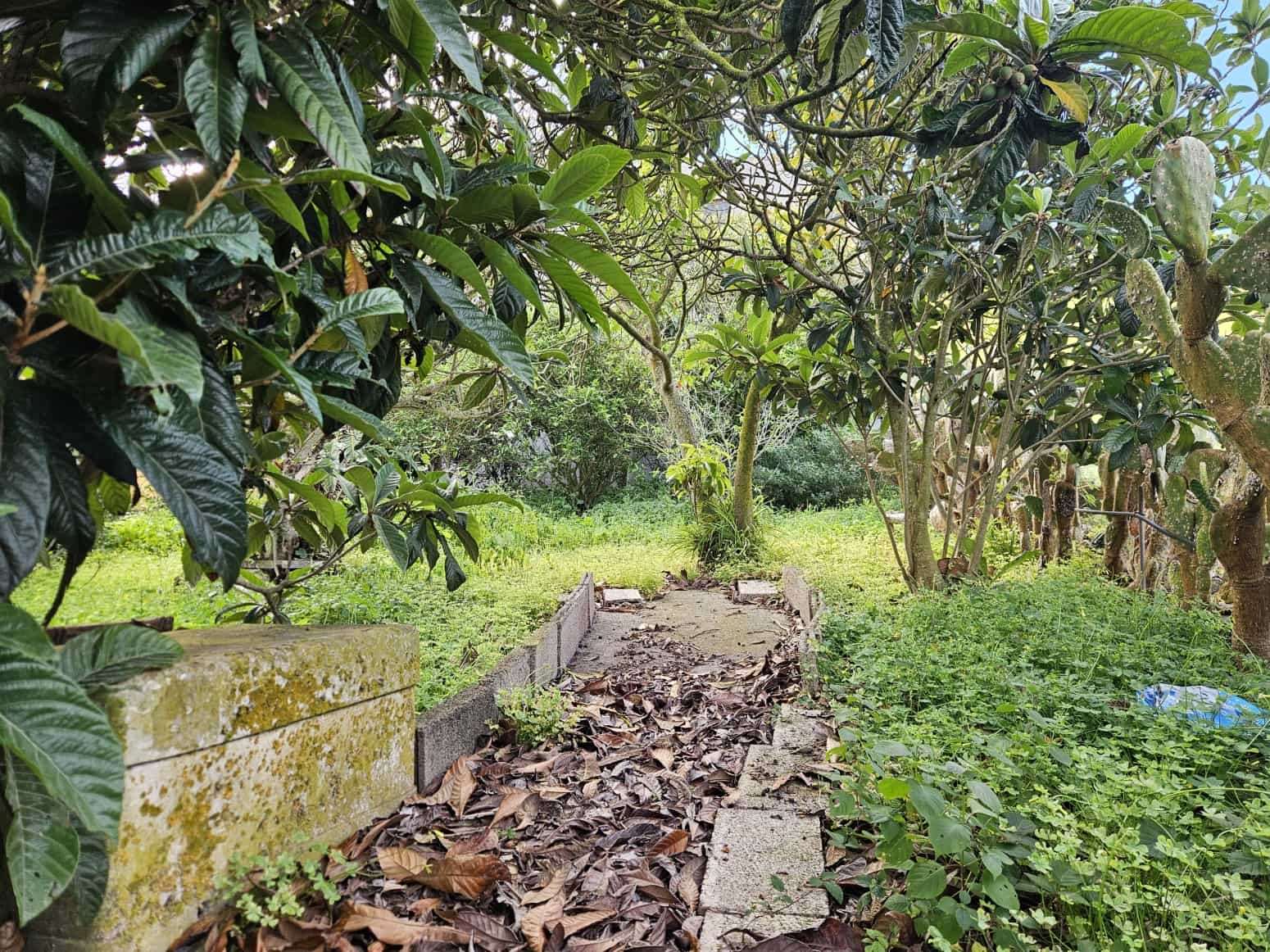 Byggegrund til salg i San Cristobal de La Laguna - € 525.000 (Ref: 8805747)