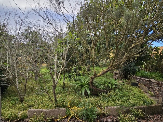 Bouwgrond te koop in San Cristóbal de La Laguna - € 525.000 (Ref: 8805747)