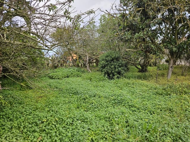 Bouwgrond te koop in San Cristóbal de La Laguna - € 525.000 (Ref: 8805747)