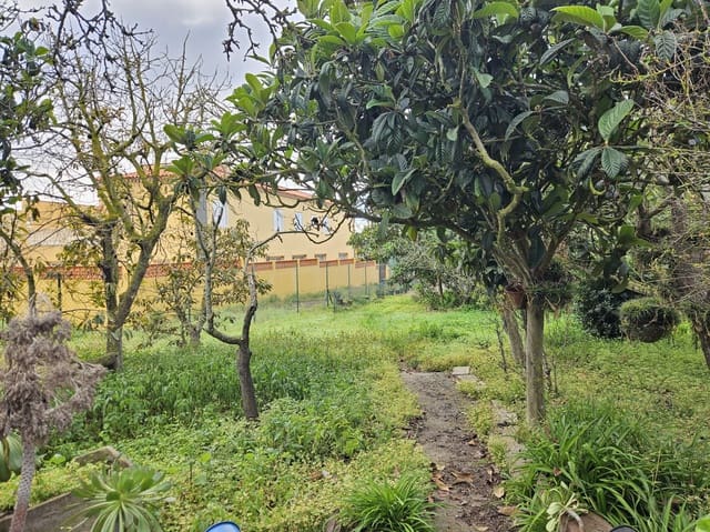 Bouwgrond te koop in San Cristóbal de La Laguna - € 525.000 (Ref: 8805747)