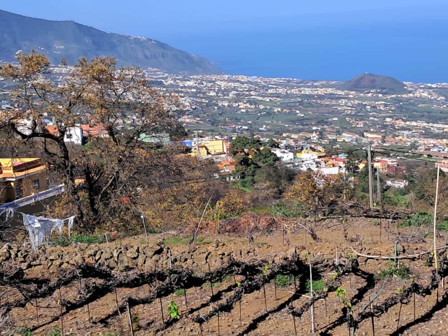 4 soveværelse Villa til salg i La Orotava med garage - € 299.000 (Ref: 8820585)