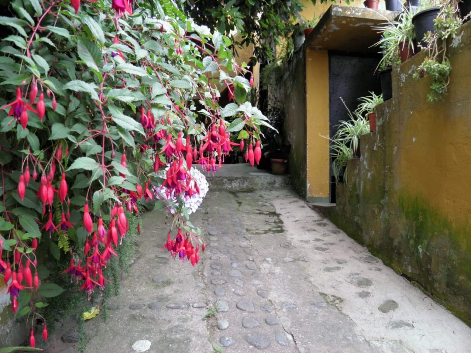 4 soveværelse Villa til salg i La Orotava med garage - € 299.000 (Ref: 8820585)