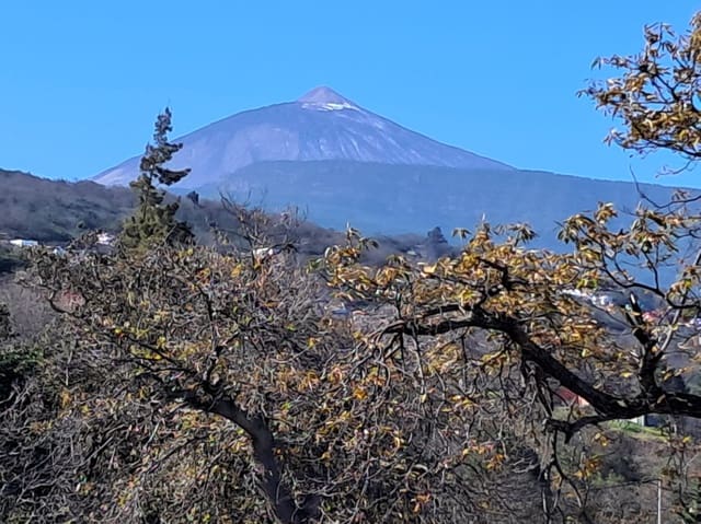 4 sypialnia Willa na sprzedaż w La Orotava z garażem - 299 000 € (Ref: 8820585)