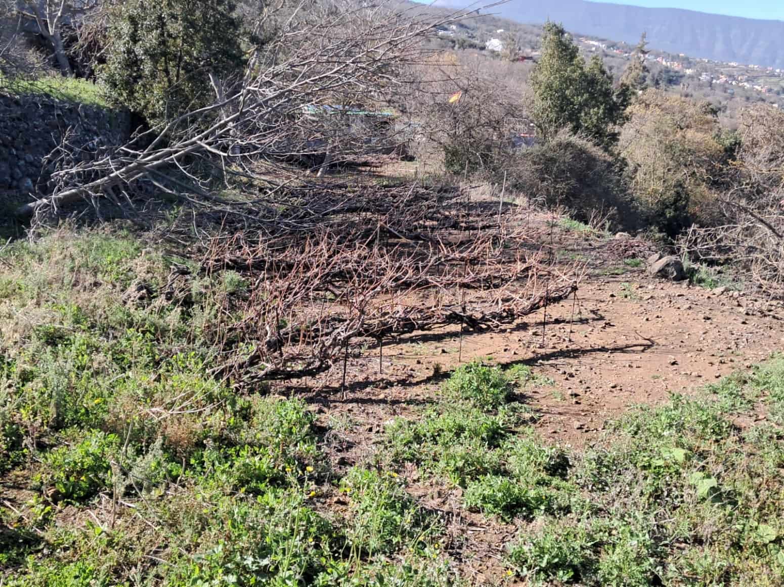 4 soveværelse Villa til salg i La Orotava med garage - € 299.000 (Ref: 8820585)