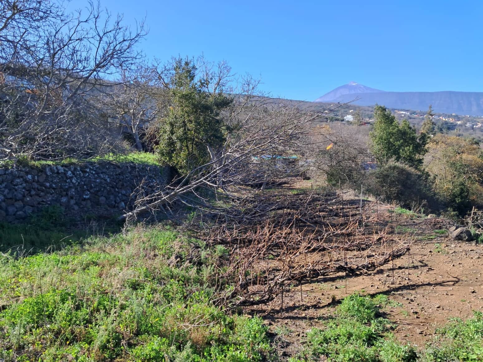 4 soveværelse Villa til salg i La Orotava med garage - € 299.000 (Ref: 8820585)