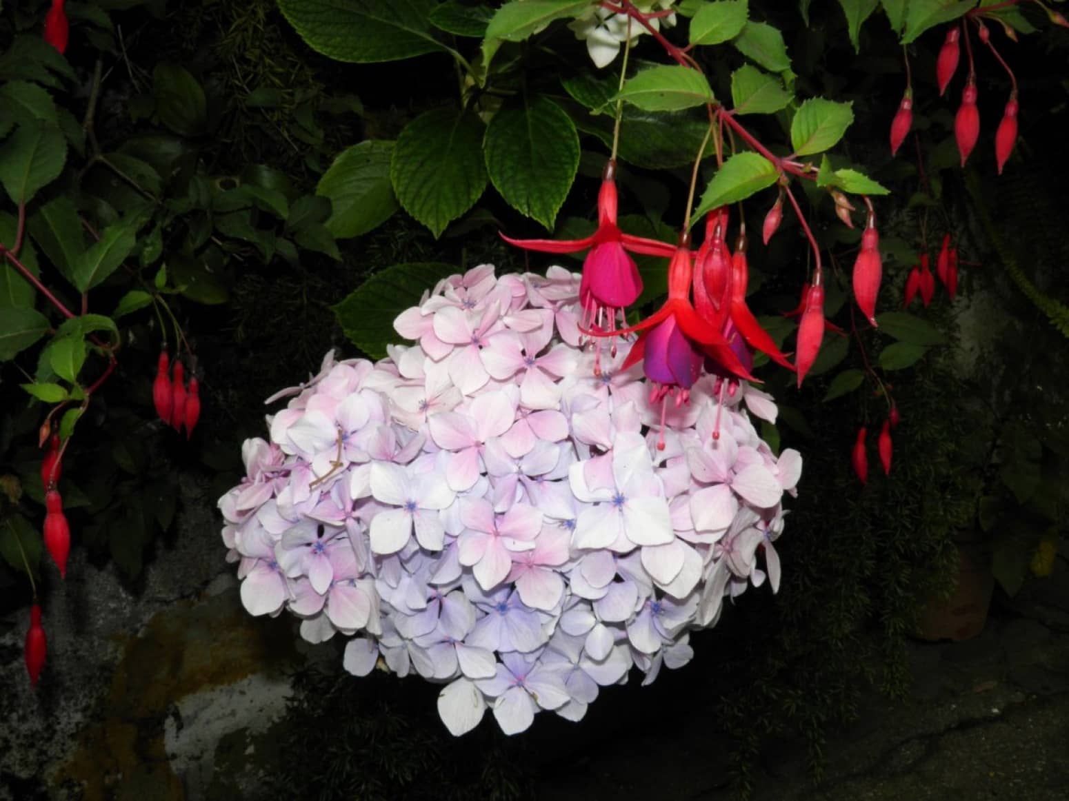 4 soveværelse Villa til salg i La Orotava med garage - € 299.000 (Ref: 8820585)