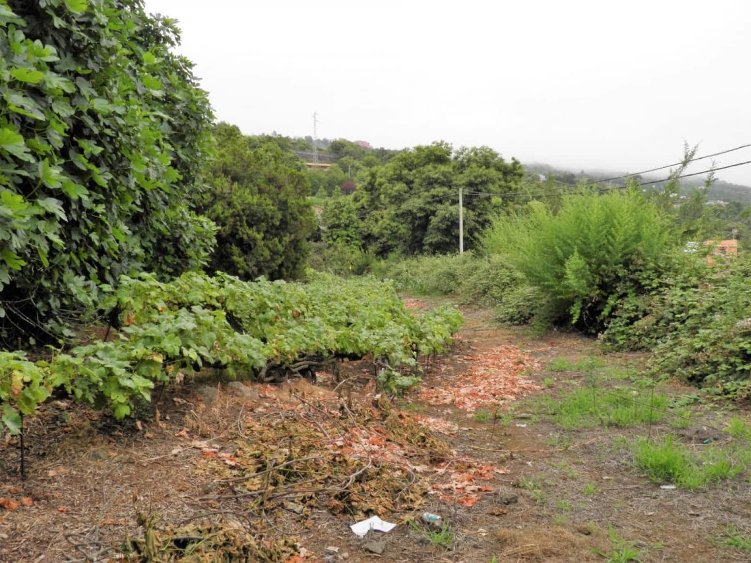 4 soveværelse Villa til salg i La Orotava med garage - € 299.000 (Ref: 8820585)