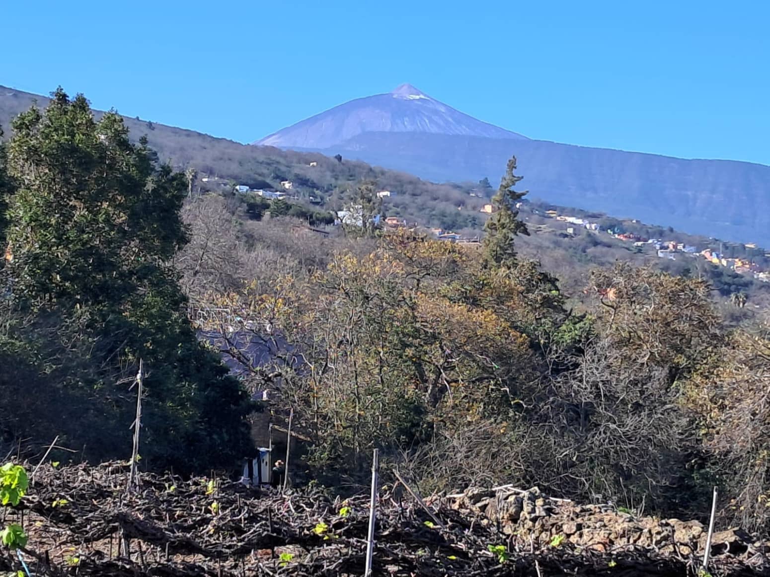 4 soveværelse Villa til salg i La Orotava med garage - € 299.000 (Ref: 8820585)