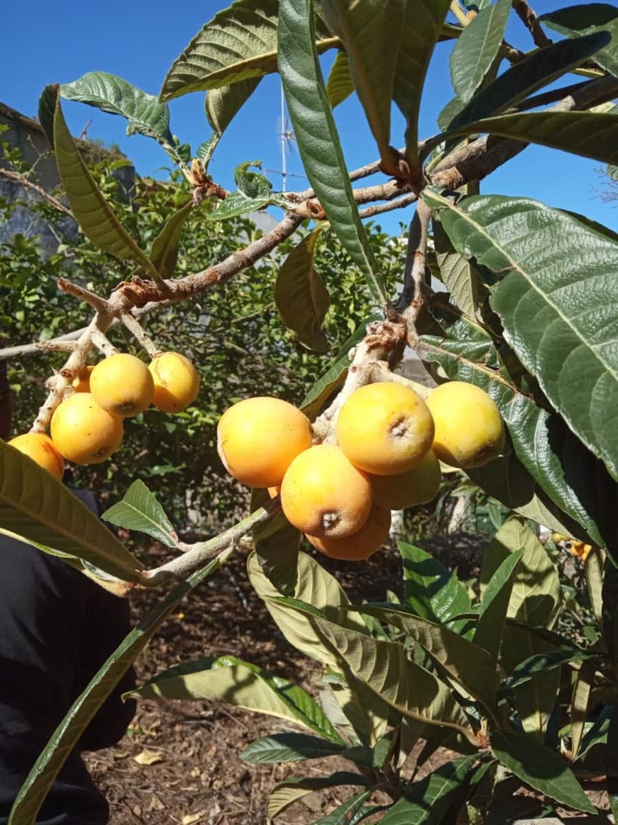 4 soveværelse Villa til salg i La Orotava med garage - € 299.000 (Ref: 8820585)