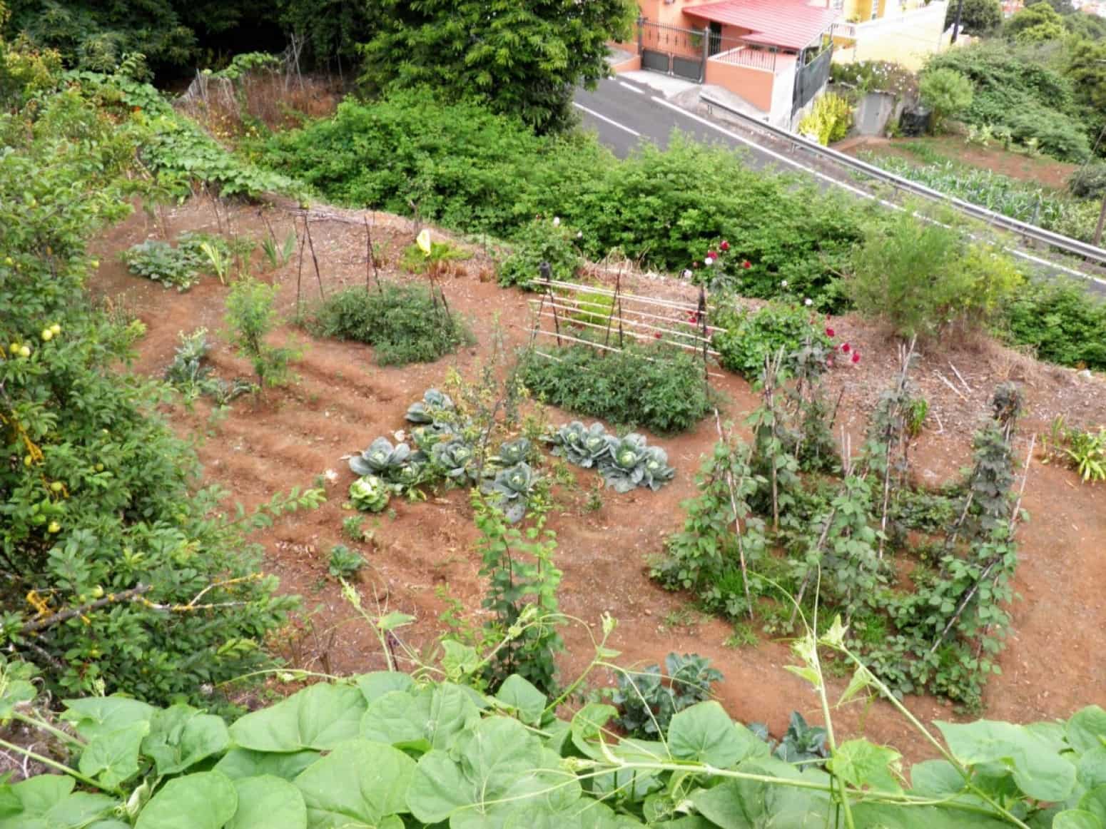 4 soveværelse Villa til salg i La Orotava med garage - € 299.000 (Ref: 8820585)