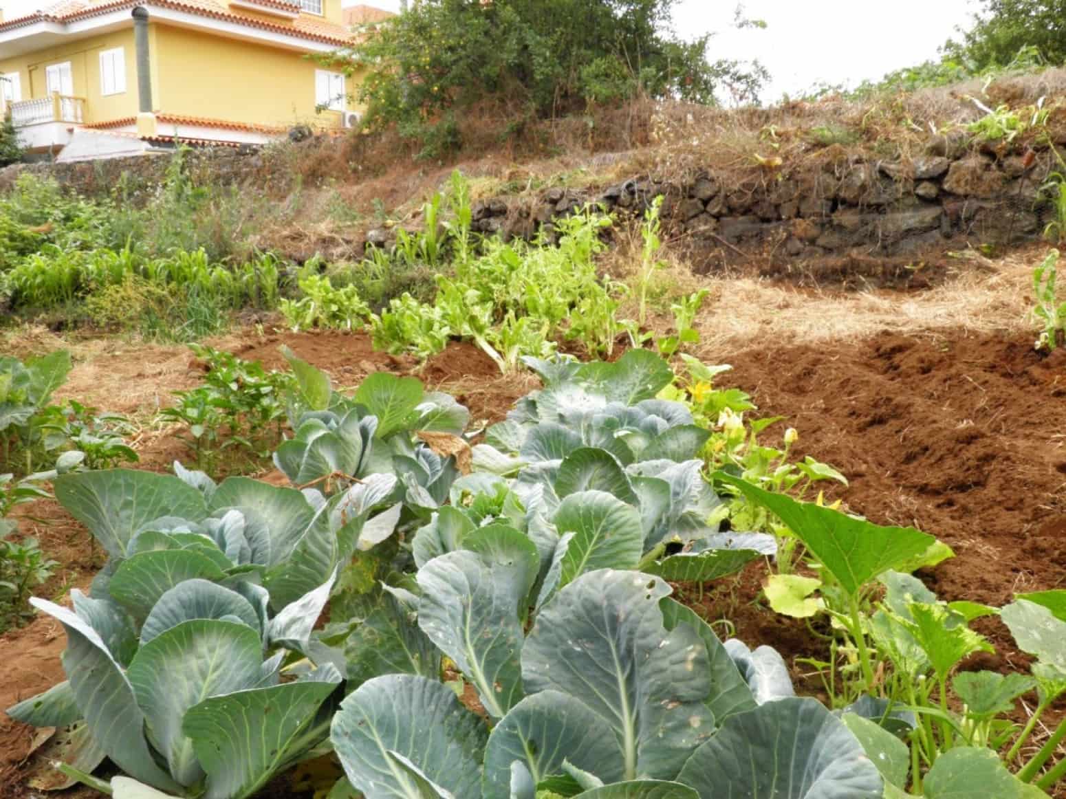 4 soveværelse Villa til salg i La Orotava med garage - € 299.000 (Ref: 8820585)