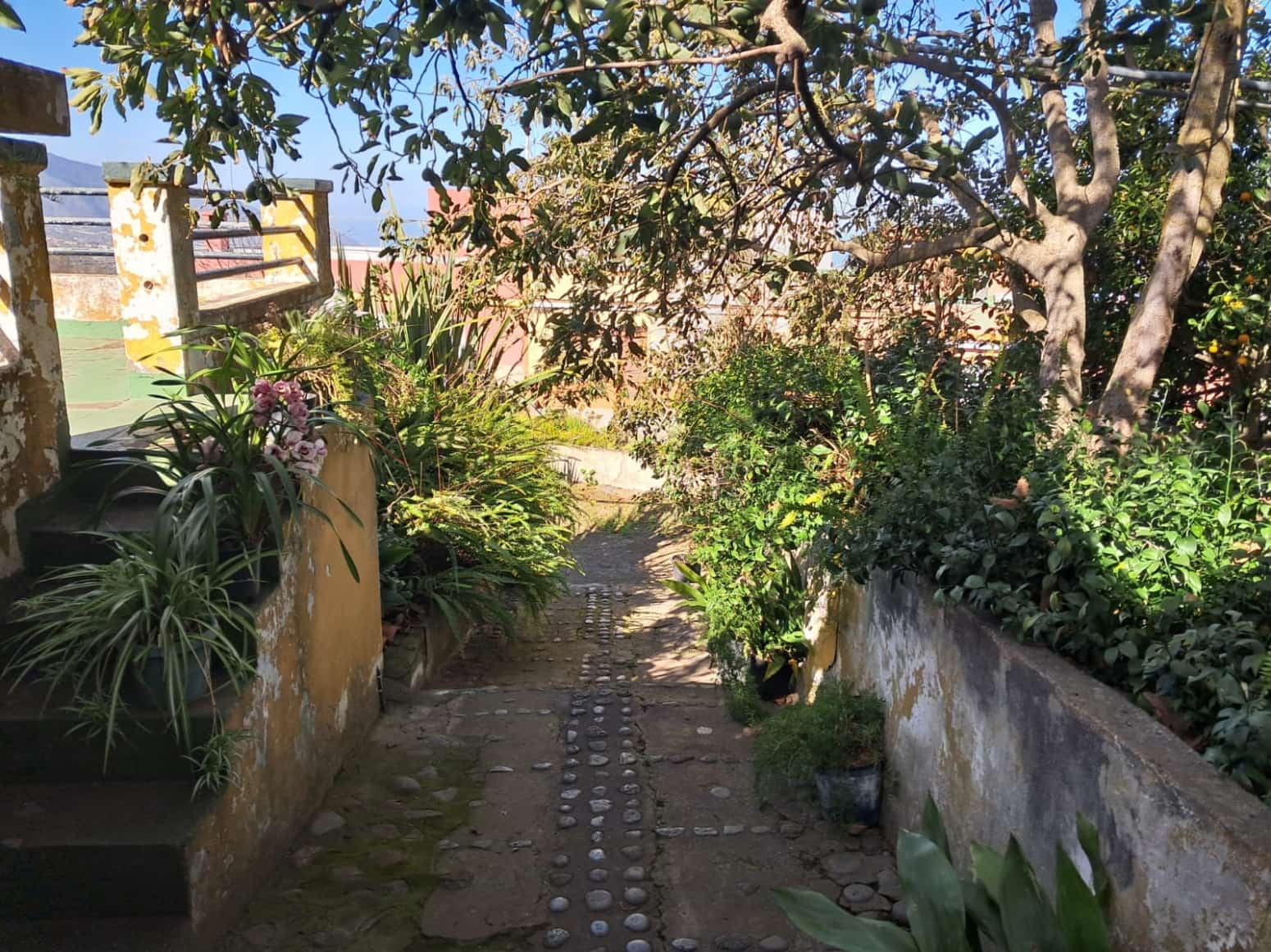 4 soveværelse Villa til salg i La Orotava med garage - € 299.000 (Ref: 8820585)