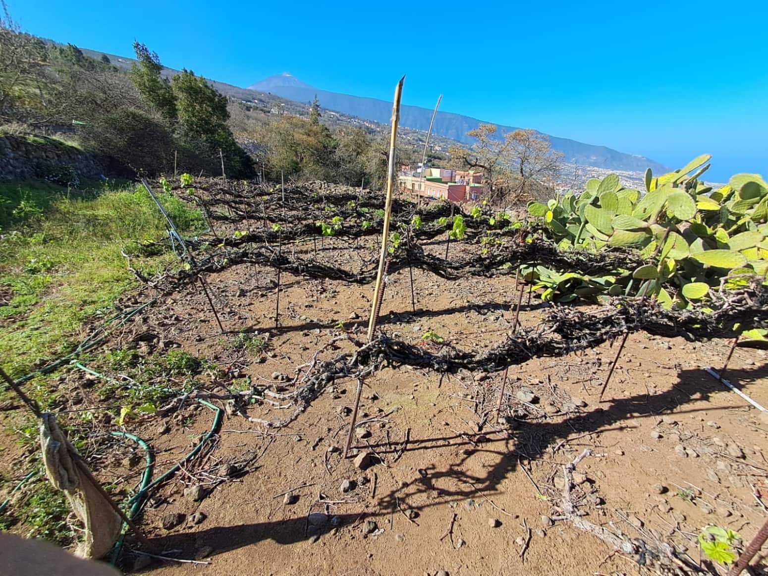 4 soveværelse Villa til salg i La Orotava med garage - € 299.000 (Ref: 8820585)