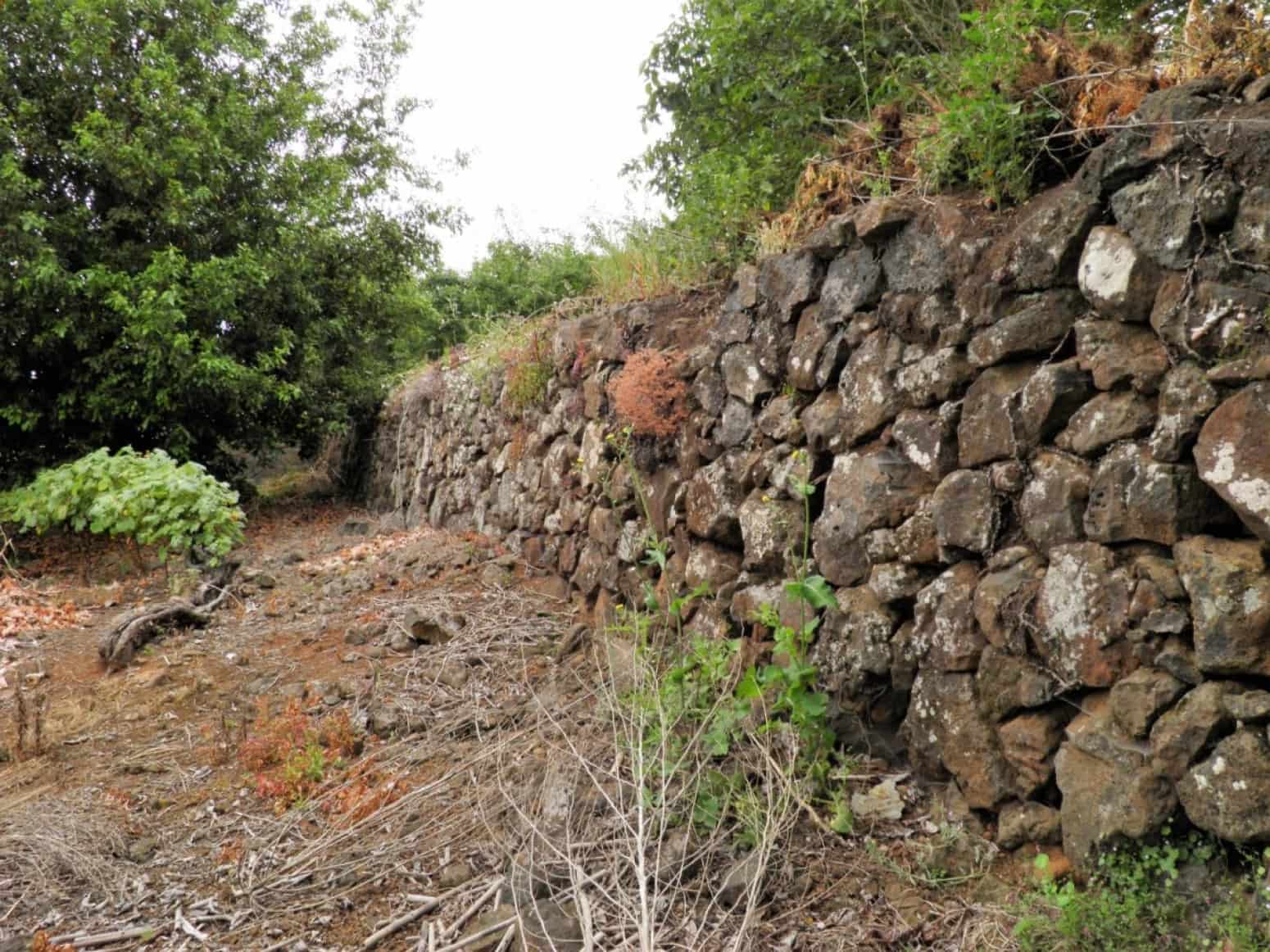 4 soveværelse Villa til salg i La Orotava med garage - € 299.000 (Ref: 8820585)